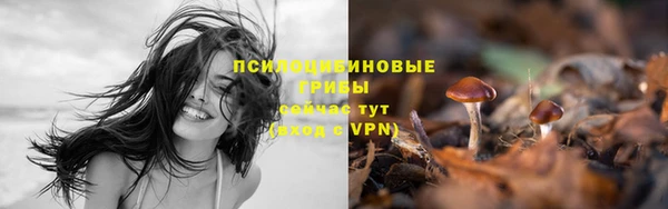mix Абинск