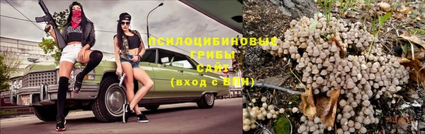 амф Ветлуга