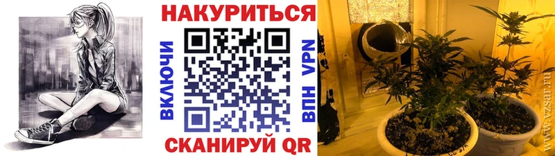 купить наркотики цена Дятьково Конопля марихуана